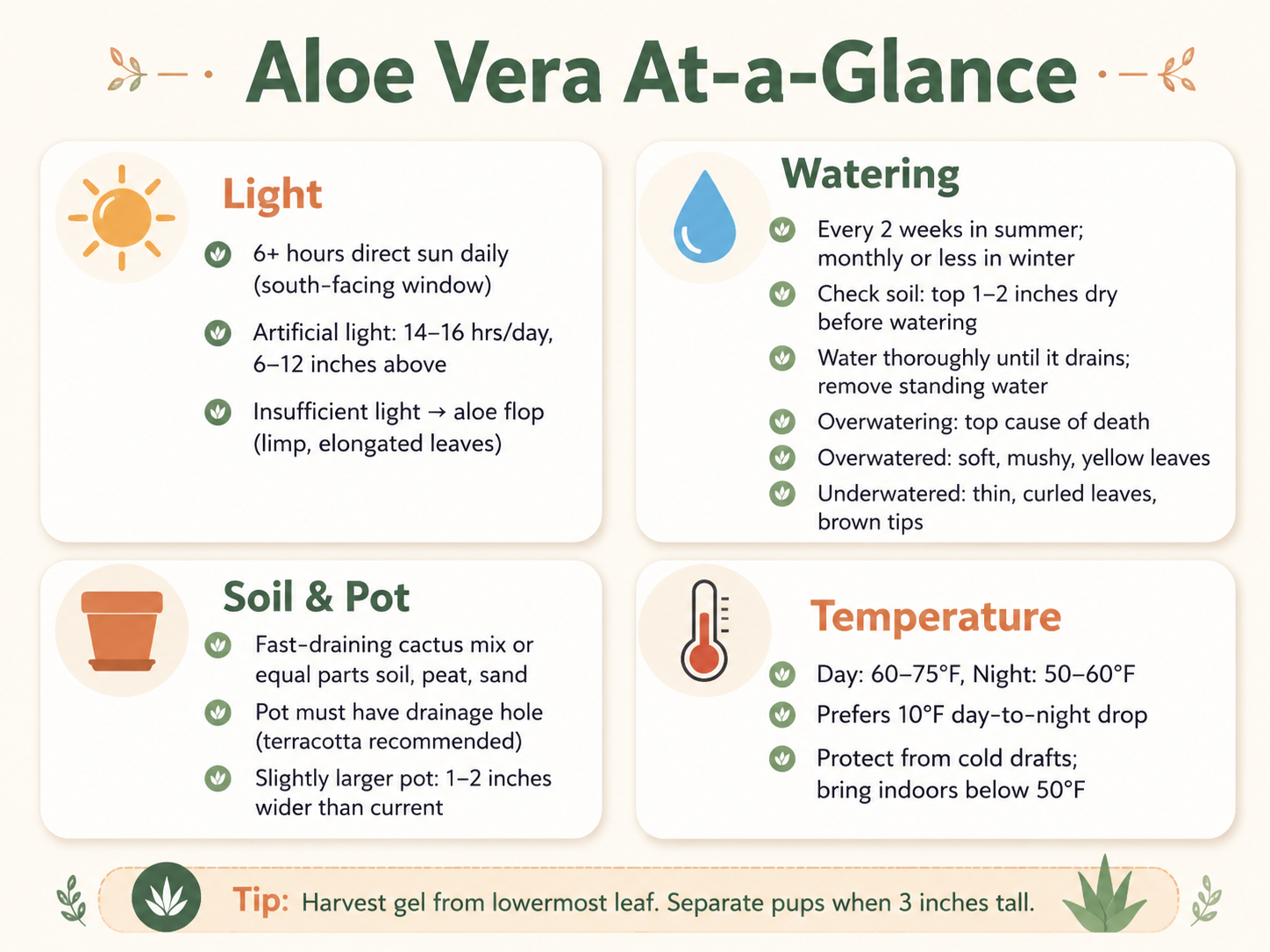 A care cheat-sheet infographic for indoor aloe vera plants. It covers light requirements (minimum 6 hours of direct sunlight daily, artificial light for 14–16 hours), watering frequency (every 2 weeks in summer, monthly in winter, check soil dryness), soil and pot tips (cactus mix, drainage hole, terracotta pot slightly larger), temperature ranges (60–75°F day, 50–60°F night), and signs of overwatering and underwatering.