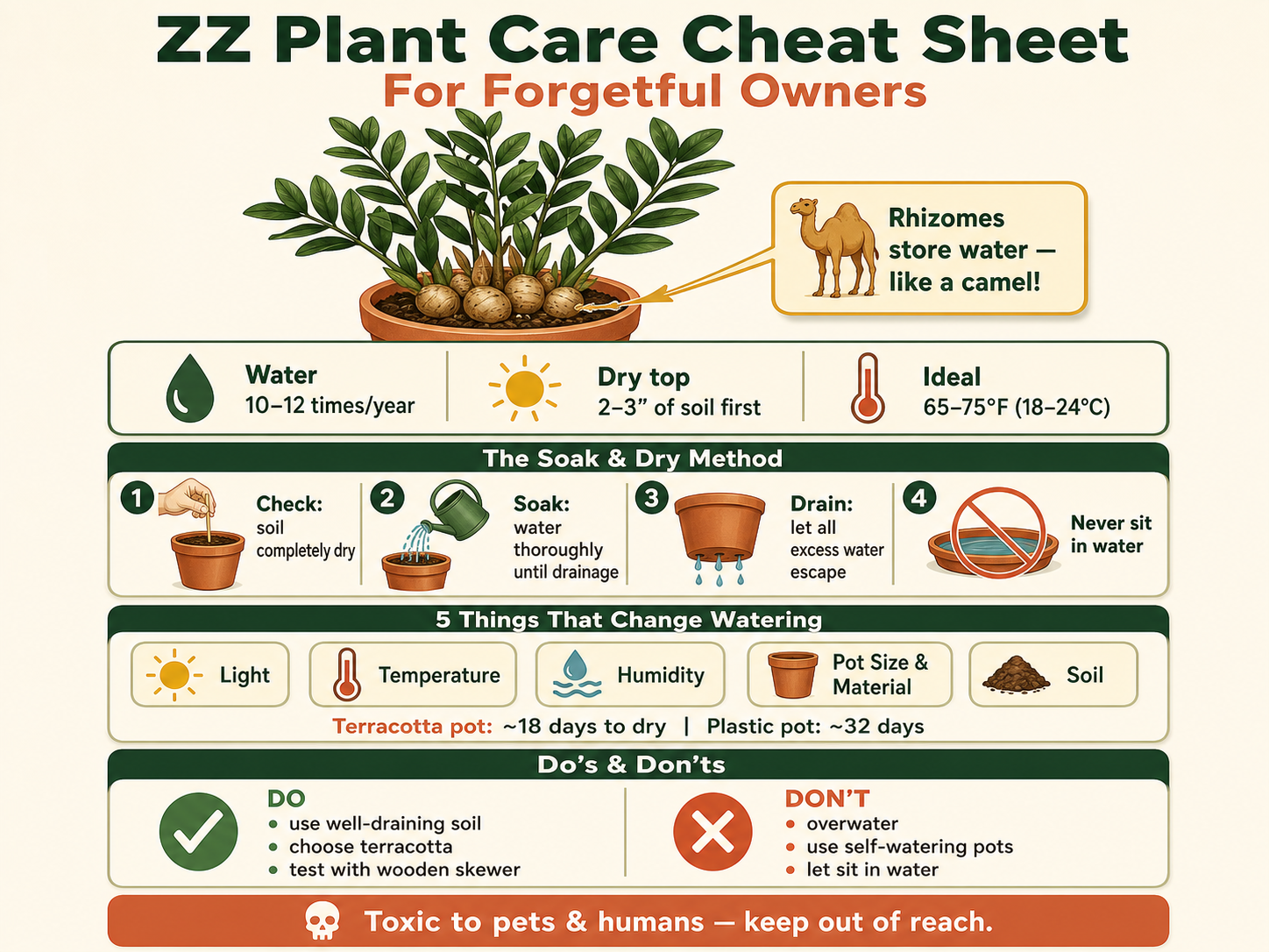 ZZ Plant Care Cheat Sheet infographic for forgetful owners. Summarizes key care: water only 10–12 times per year, let top 2–3 inches of soil dry completely, ideal temperature 65–75°F. Highlights water-storing rhizomes, the soak-and-dry watering method with four steps, five environmental factors that change watering frequency (light, temperature, humidity, pot size/material, soil), do's and don'ts, and a toxicity warning for pets and humans.